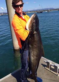 Avenger Charters - big Cobia